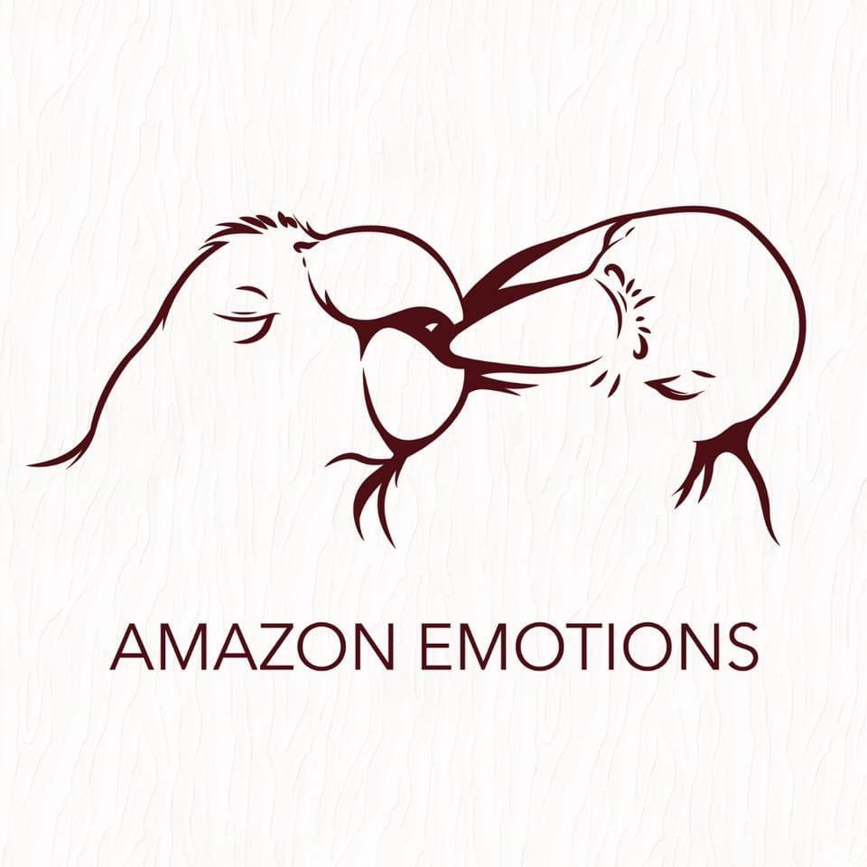 Amazon_Emotions