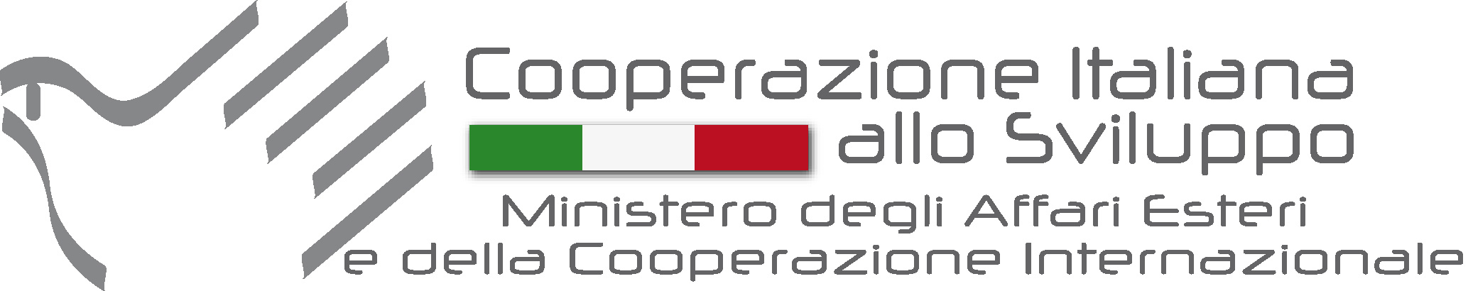 Ministry of Foreign Affairs and International Cooperation of Italy
